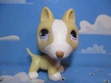 PETSHOP CHIEN BULL-TERRIER