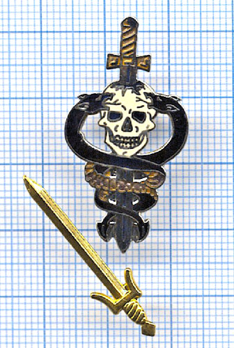 Pin sabre glaive crâne - glaive,