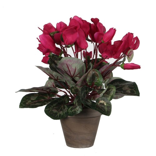 Mica decorations plante - mica,