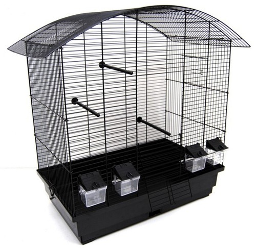 Cage oiseau pour perroquet - d'oiseau,