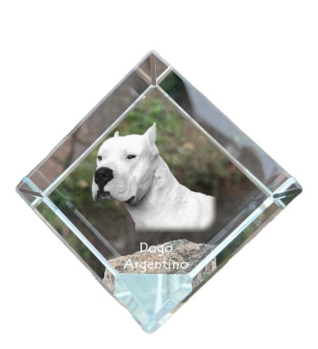 Collier pendentif argentin - pendentif,