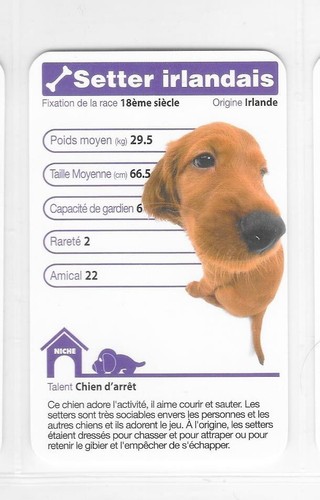 Carte top trumps chiens - trumps,