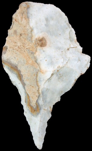 Neolithic excellent drill - neolithic,