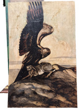 Paul MARCUEYZ Rapace et