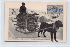 SAINT PIERRE & MIQUELON - Firewood transport - Ed. Léon Briand 20