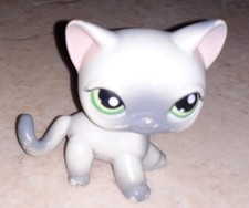Petshop chat europeen 125