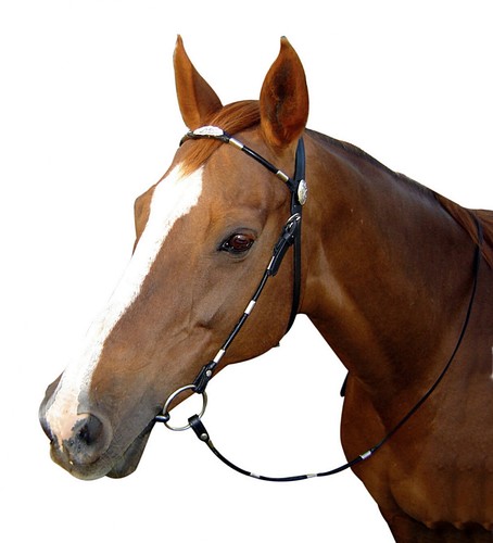 Bridon western tubulaire avec - western,