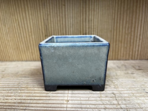 Ancien pot bonsaï japonais - pot,