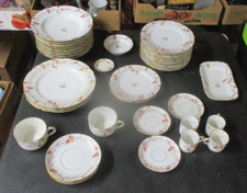 Haviland Limoges 40-Piece Partial Dinnerware Set – Blueberry Pattern, Some Chips