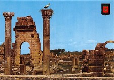 MAROC VOLUBILIS