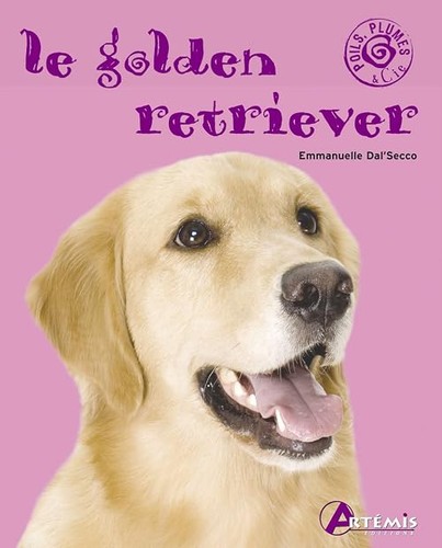 Golden retriever - le,