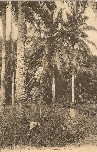 Carte postale afrique congo - afrique,