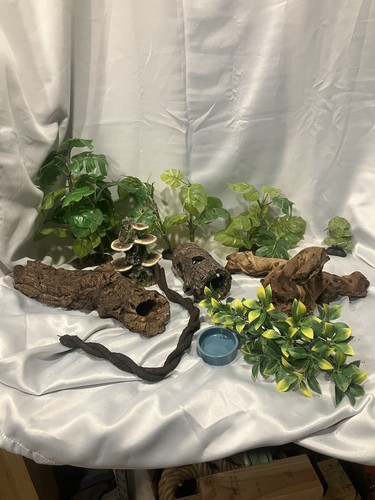 Terrarium decor 11 pieces - terrarium,