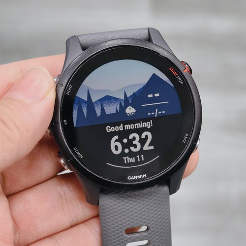 Garmin forerunner 255 slate - garmin,