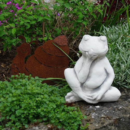 Crapaud drôle grenouille - crapaud, de