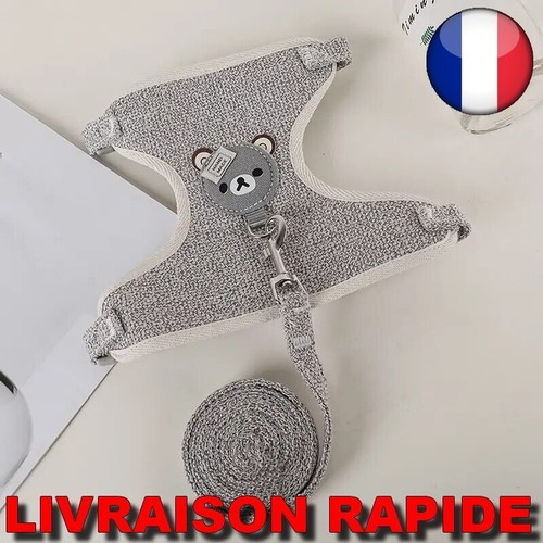 Laisse petit chien réglable - petit,
