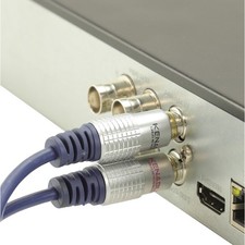 Câble Stéréo Audio Avec