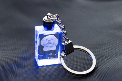 Lhassa apso porte clés - apso,, en