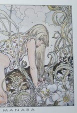 MILO MANARA grand poster