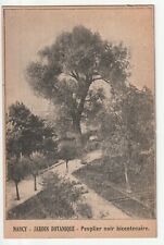 NANCY - Meurthe & Moselle - CPA 54 - Peuplier noir au jardin Botanique