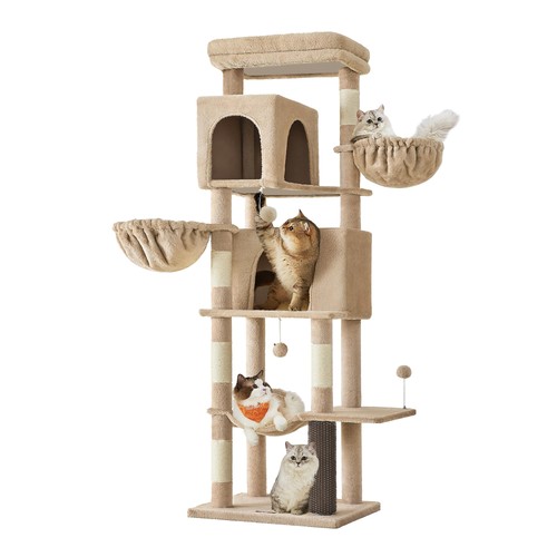 Grand arbre chat - arbre, chat,