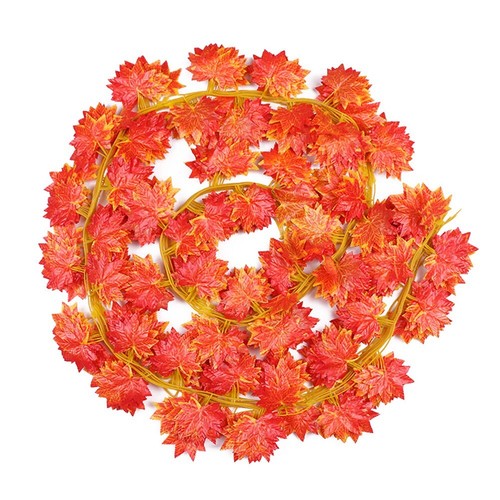 Feuille lierre vive herbe - lierre,