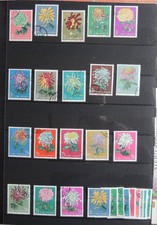 Chine 1960 chrysanthemes