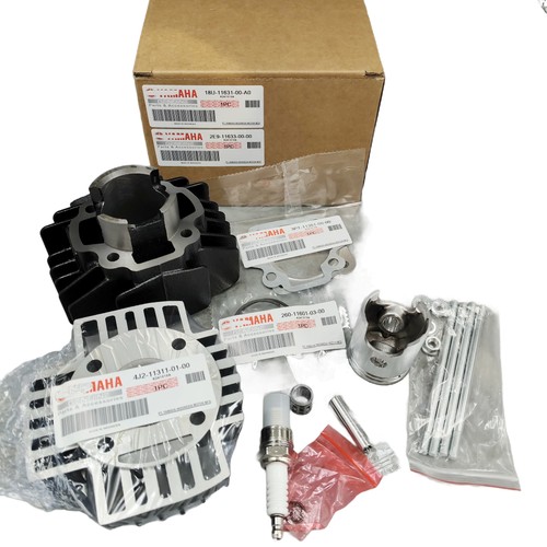 Oem new top end - new, kit