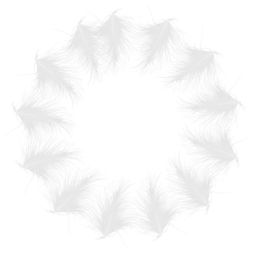 Pcs matériel apiculture - matériel, d'apiculture