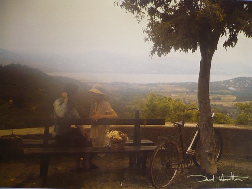 Carte postale david - ,