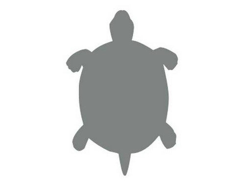 Sticker tortue terre - sticker,