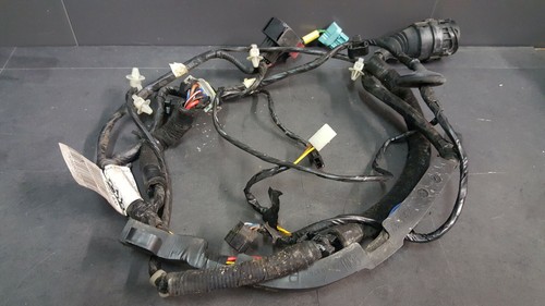 Faisceau electrique porte - electrique, de