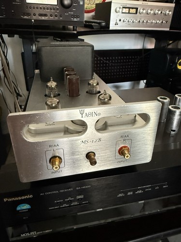 Yaqin 12b tube - ms-12b,