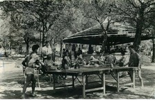 SPORTS  PING PONG tennis de table