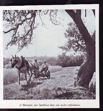 1940 -- MORTAGNE HORSE TRACTION MOWER K278