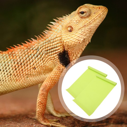 Pcs tapis pour reptiles - tapis,