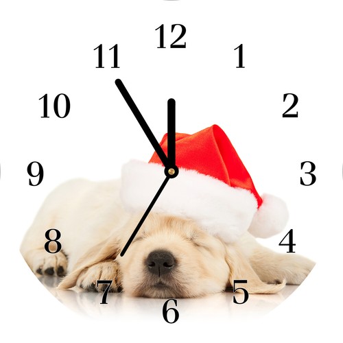 Tulup horloge verre - verre, noël
