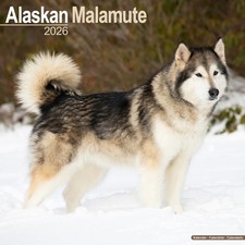 Calendrier 2026 - ALASKAN