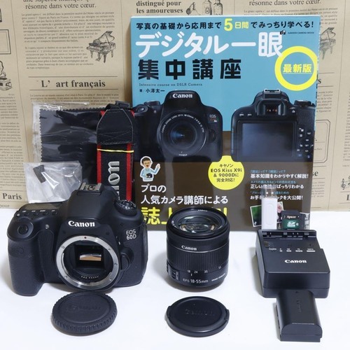Lot appareils photo - d'appareils,