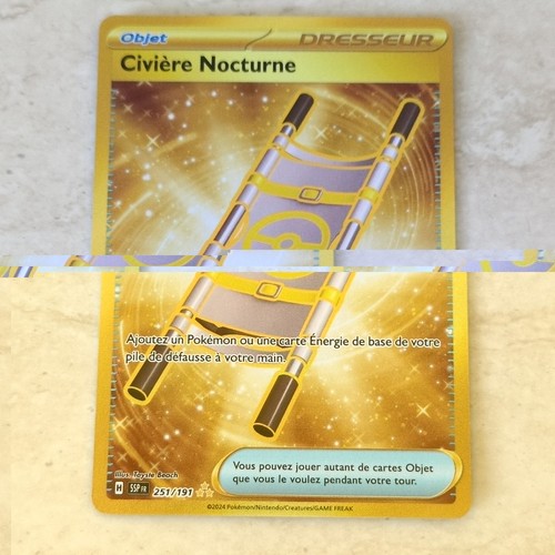 Nintendo carte pokemon