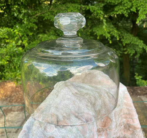 Vielle cloche fromage - vielle,
