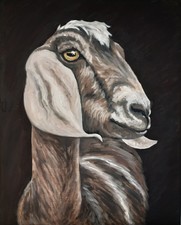 Chèvre Peinture originale Ferme Art 20 par 16 Pet Portrait Toile Huile Mur Art.