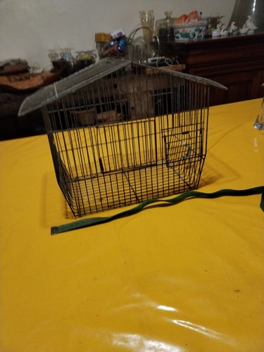 Ancienne cage oiseaux fer - cage, en
