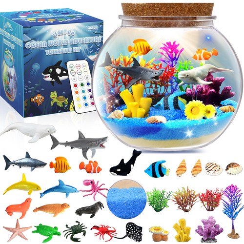 Ocean light terrarium kit - up,