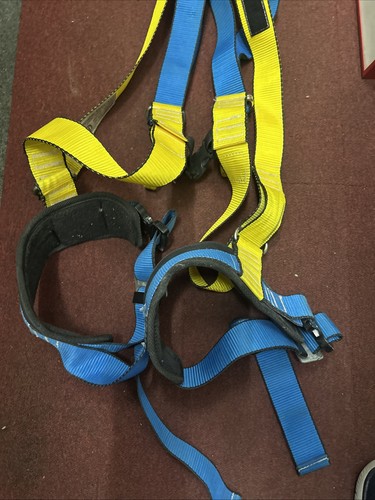 Syam ceinture sécurité - ceinture,