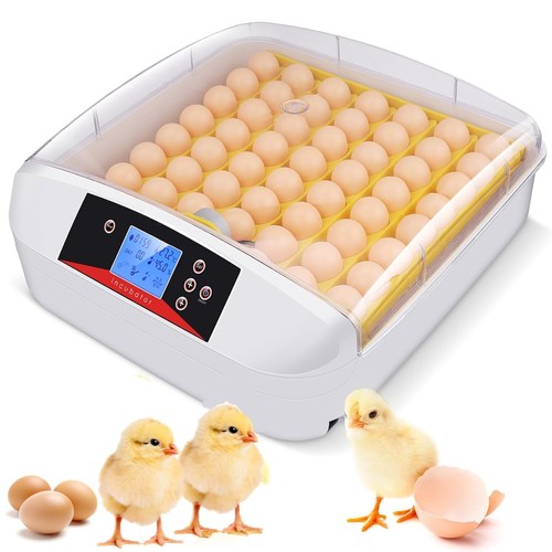 Couveuse oeuf automatique - couveuse, 55