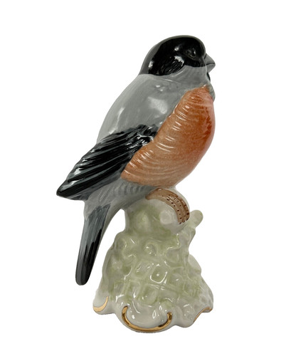 Oiseau bouvreuil - oiseau,