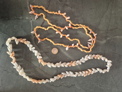 Colliers coquillages - 2,