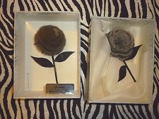 2 Chinchilla Fur Vintage Rose