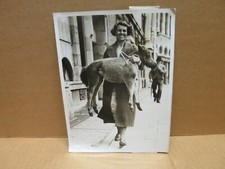 1935 Shetland Pony Arrival Horse Salon Photography